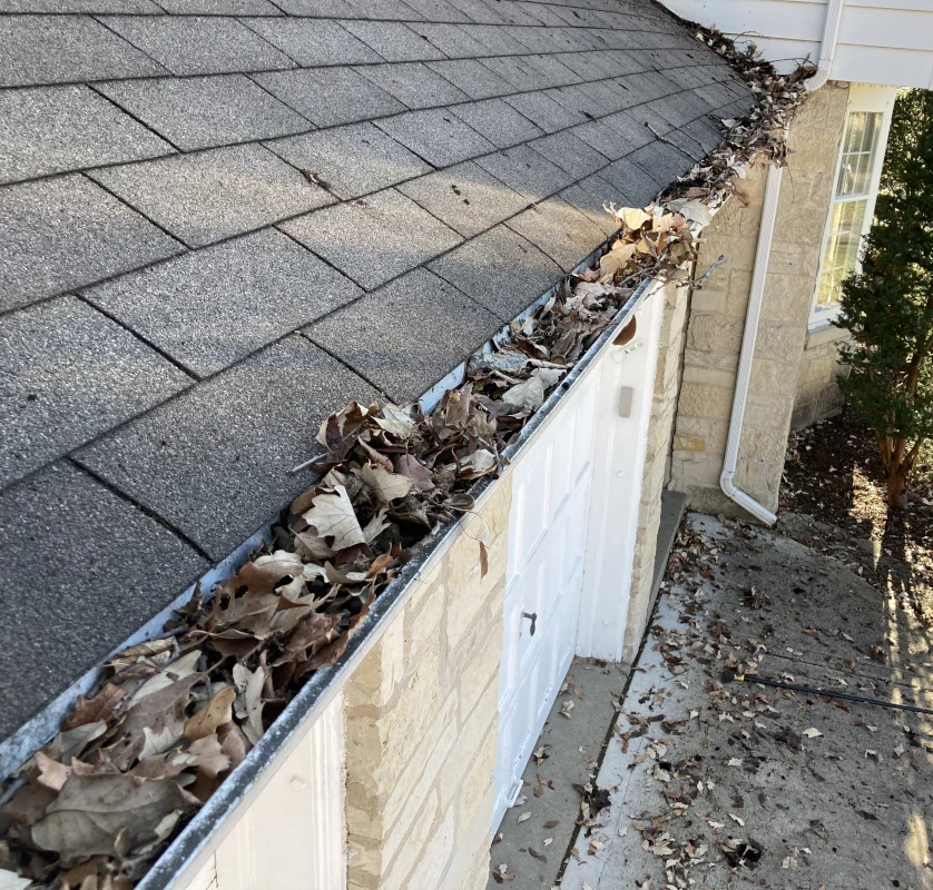 heavy buildup of leaves and sticks in 1st story rain gutters due to prolonged lack of maintenance