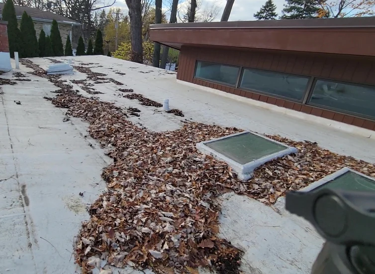 a large quantity of leaves and acorns spread out in different piles across a flat roof before roof cleaning, with leaves in the foreground and acorns in the background